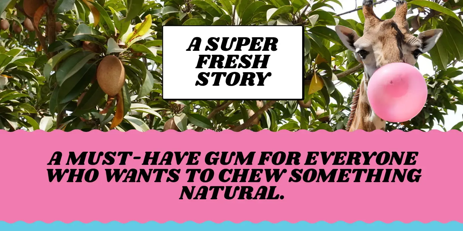 Web Design & Development