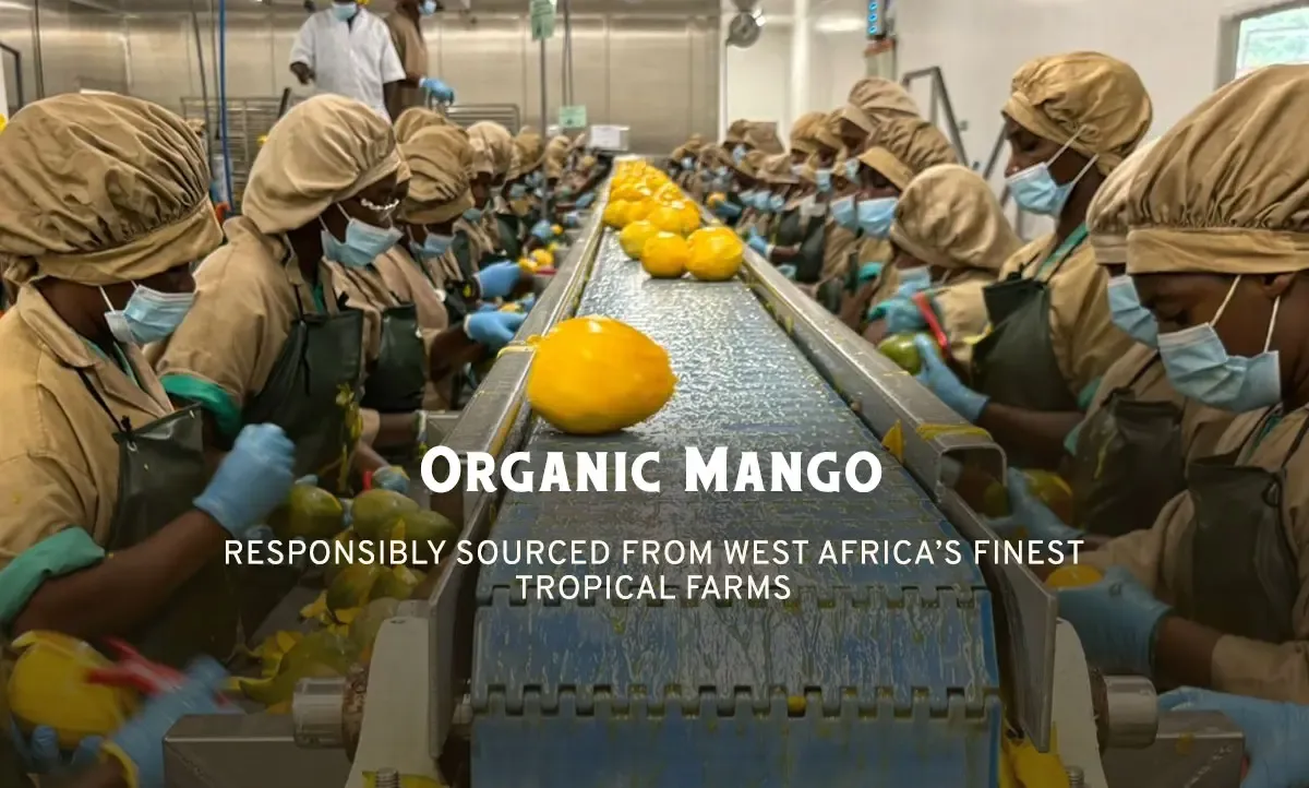 Visual journey image